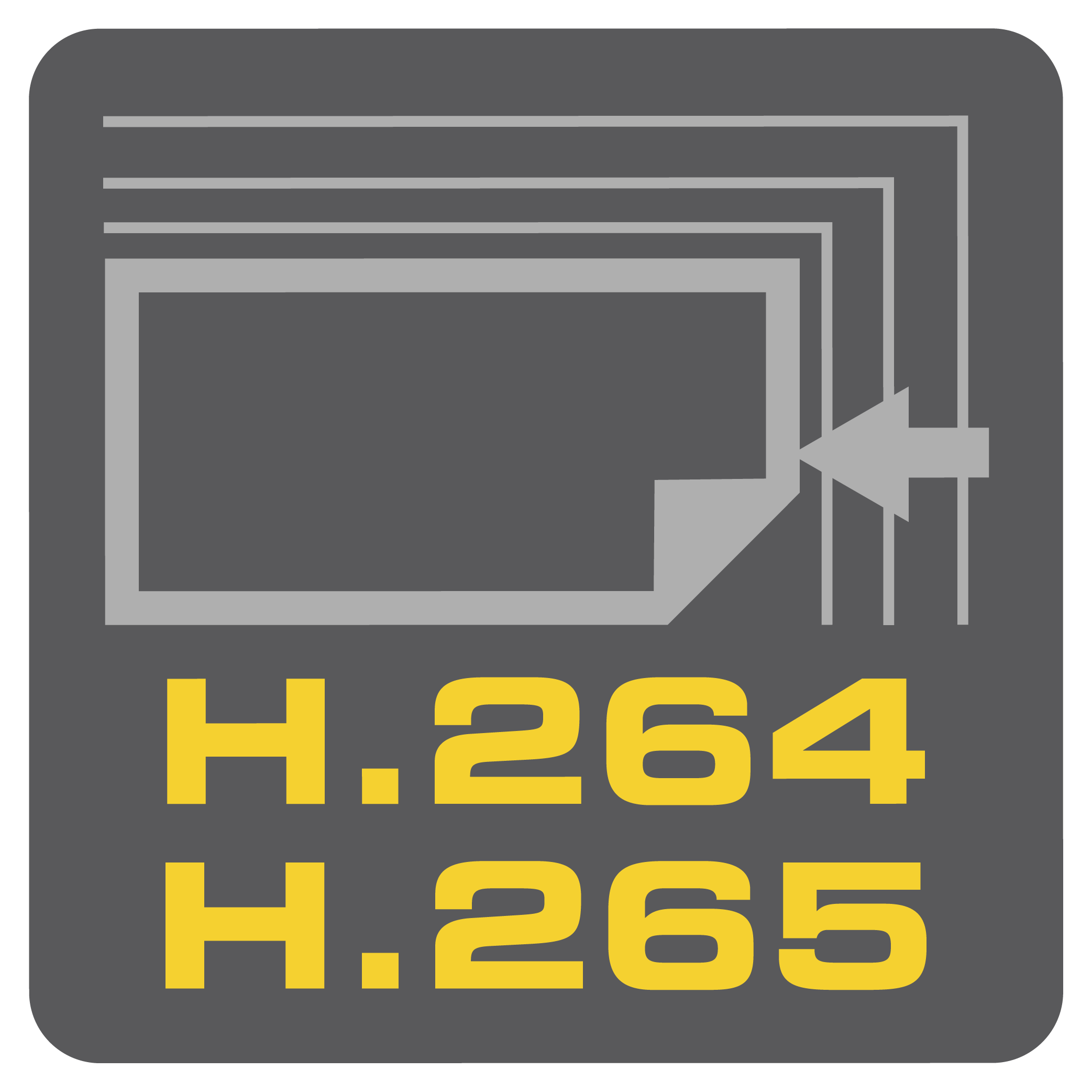 icon showing h264 and h265
