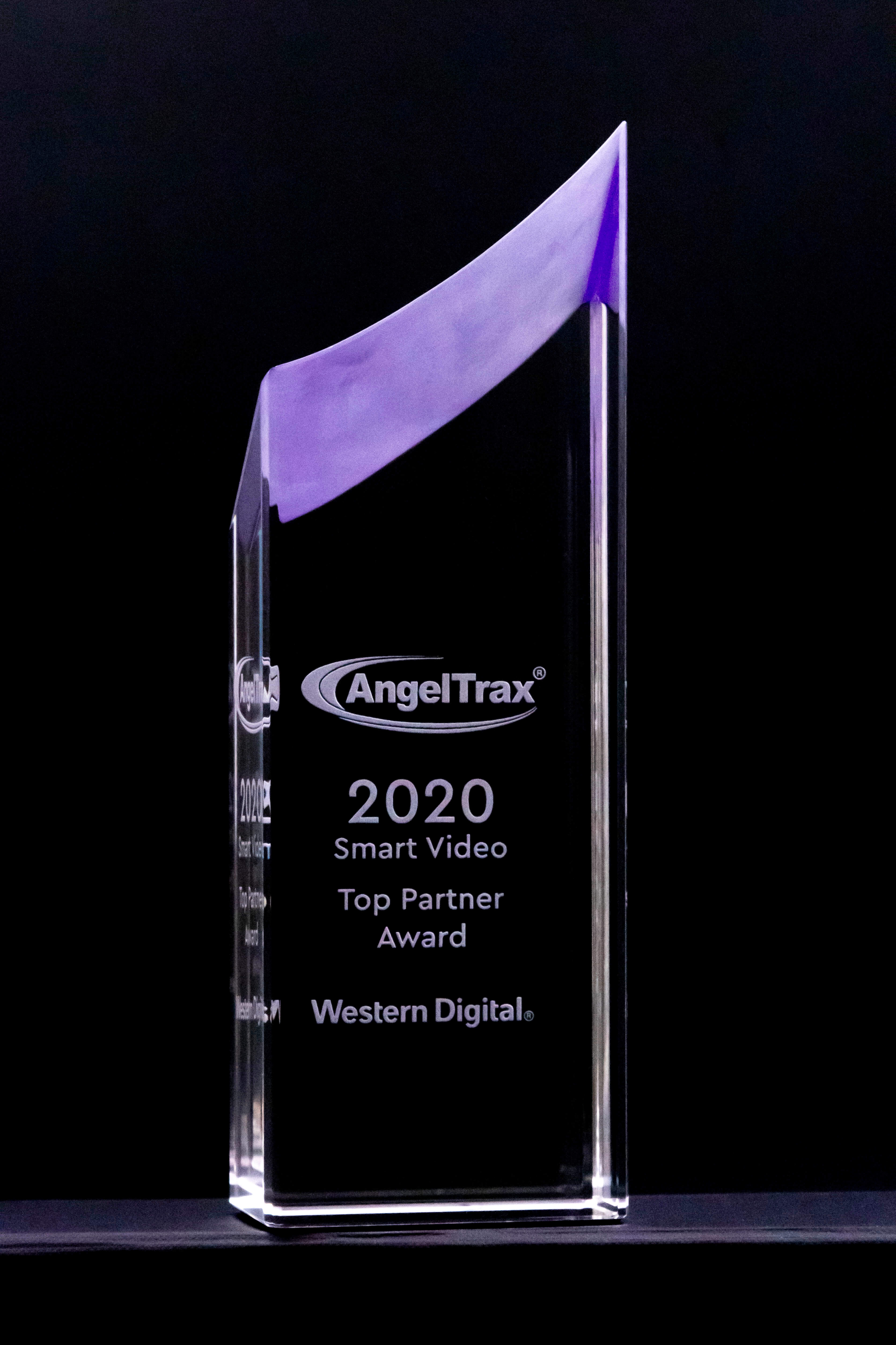 image of a top parter award trophy